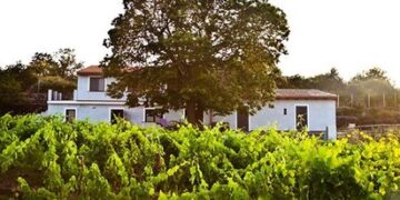 Vino, arte e musica, l’Etna Inspirante di Primaterra nella rassegna 2021