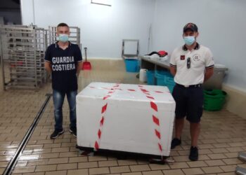 Oltre un quintale di prodotti ittici sequestrati a Pozzallo