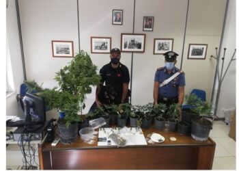 Arrestato un giovane di Ispica: coltivava e spacciava marijuana