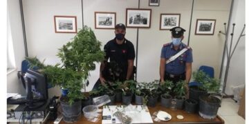 Arrestato un giovane di Ispica: coltivava e spacciava marijuana