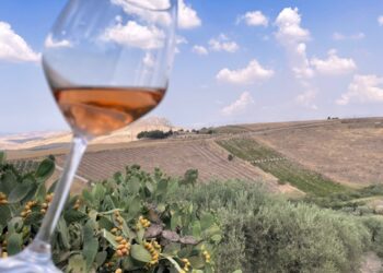 Terre Sicane Wine Fest 2021 successo per la terza edizione: vino, comunità e relazioni chiavi di sviluppo per il territorio