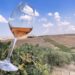 Terre Sicane Wine Fest 2021 successo per la terza edizione: vino, comunità e relazioni chiavi di sviluppo per il territorio