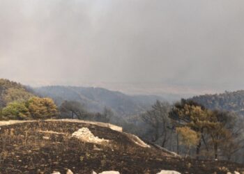 Incendio a Calaforno, il parco praticamente non esiste più