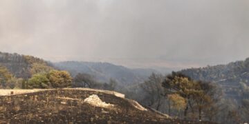 Incendio a Calaforno, il parco praticamente non esiste più