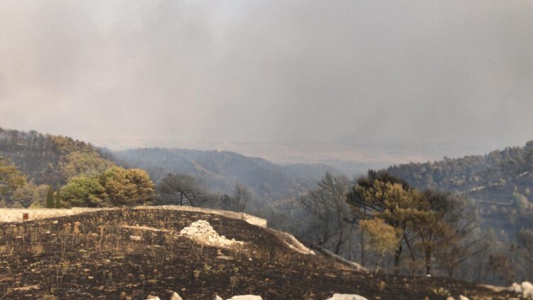 Incendio a Calaforno, il parco praticamente non esiste più