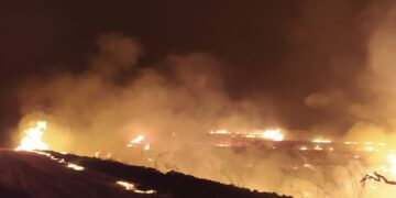 La lunga notte dell’incendio. Il fuoco, purtroppo, non è stato ancora domato