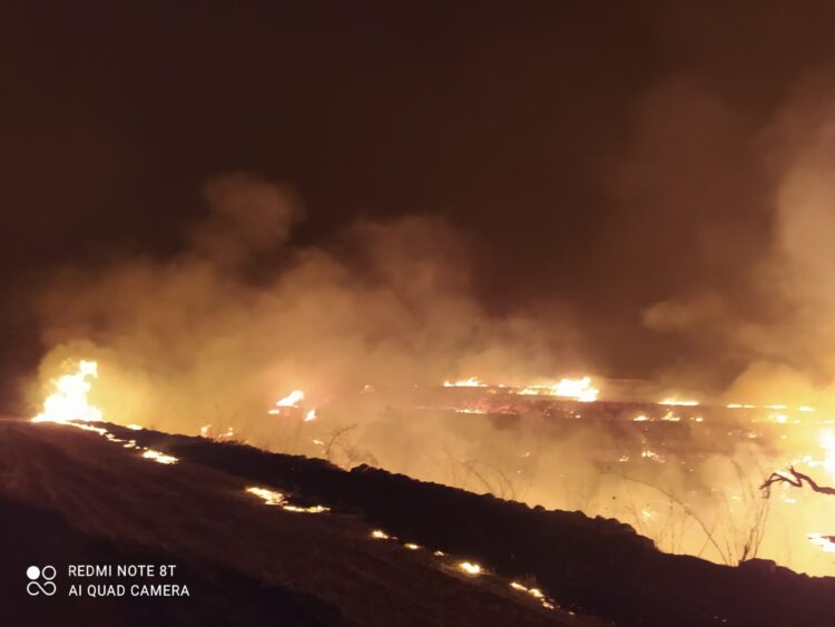 La lunga notte dell’incendio. Il fuoco, purtroppo, non è stato ancora domato
