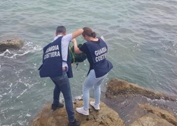 Pescava illegalmente i ricci a Playa Grande, multa per un sub