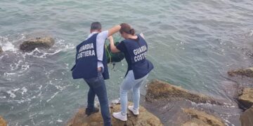 Pescava illegalmente i ricci a Playa Grande, multa per un sub