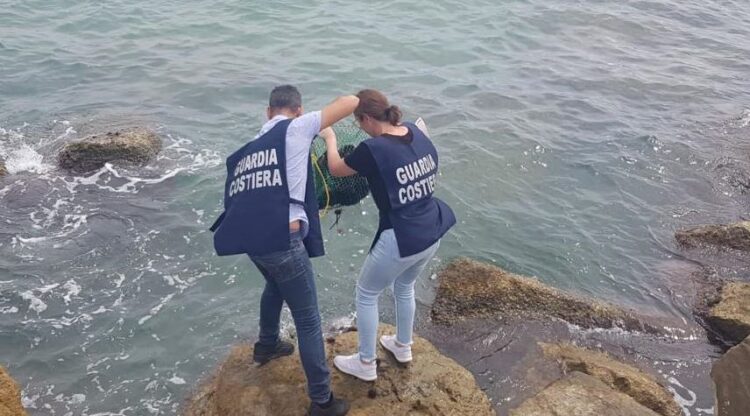 Pescava illegalmente i ricci a Playa Grande, multa per un sub