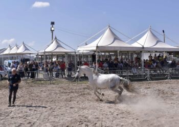 Ragusa: s’inaugura domani la Fiera agroalimentare mediterranea