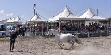 Ragusa: s’inaugura domani la Fiera agroalimentare mediterranea