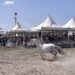 Ragusa: s’inaugura domani la Fiera agroalimentare mediterranea