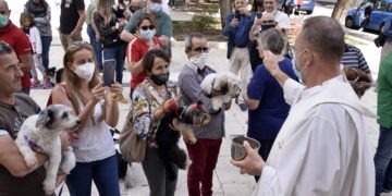 La benedizione degli animali nel segno di San Francesco ieri in piazza Cappuccini a Ragusa