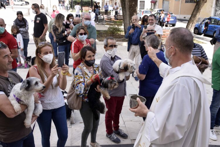 La benedizione degli animali nel segno di San Francesco ieri in piazza Cappuccini a Ragusa