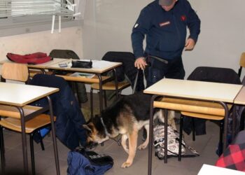 Trovata droga in alcune scuole di Modica. I controlli della polizia