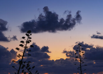 Congiunzione tra luna e venere vista da Costa di Carro