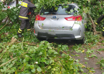 Vittoria: cade un albero su un’auto in sosta