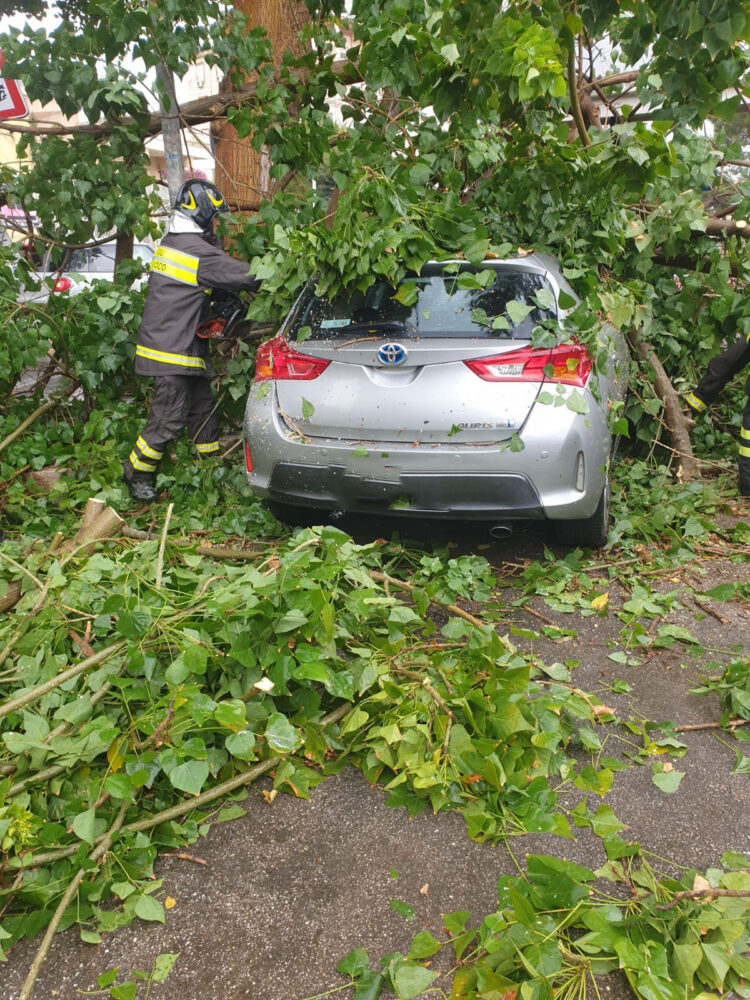 Vittoria: cade un albero su un’auto in sosta
