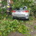 Vittoria: cade un albero su un’auto in sosta