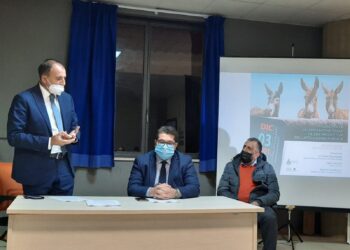 Ddl sulla “valorizzazione della filiera produttiva del latte d’asina in Sicilia” illustrato ieri in un incontro