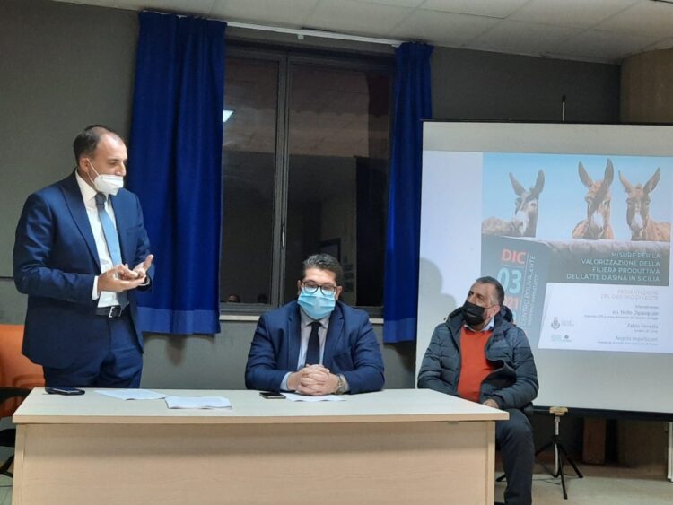 Ddl sulla “valorizzazione della filiera produttiva del latte d’asina in Sicilia” illustrato ieri in un incontro