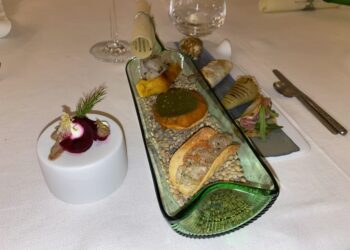 Salvatore Galati incanta e conquista con la sua cucina sostenibile: lo chef prodigio ha 22 anni