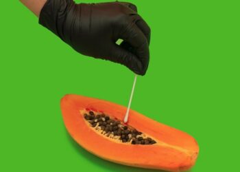 “CE, nessuna conformità garantita”, mostra fotografica a Milano. Espone Claudio Castilletti, di Comiso