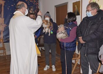 San Giuseppe a Ragusa, benedetti gli animali