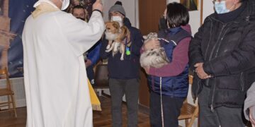 San Giuseppe a Ragusa, benedetti gli animali