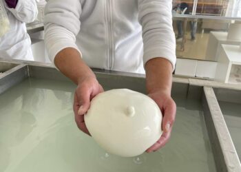 A San Filippo Del Mela inaugurato il nuovo caseificio “Bufalino”