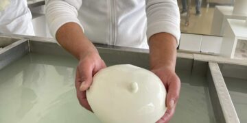 A San Filippo Del Mela inaugurato il nuovo caseificio “Bufalino”