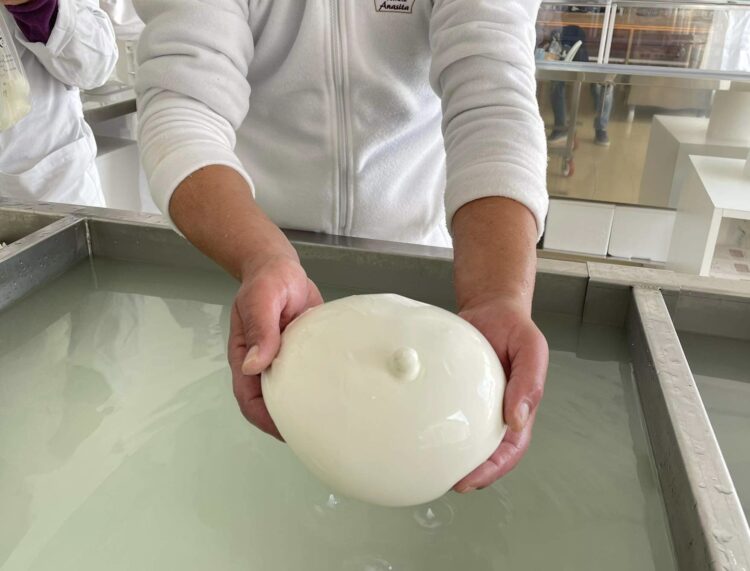 A San Filippo Del Mela inaugurato il nuovo caseificio “Bufalino”