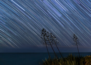 Startrail sulle Agavi, fra Sampieri e Cava d’Aliga