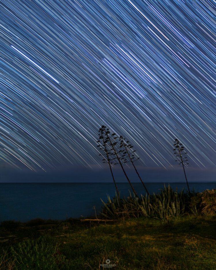 Startrail sulle Agavi, fra Sampieri e Cava d’Aliga
