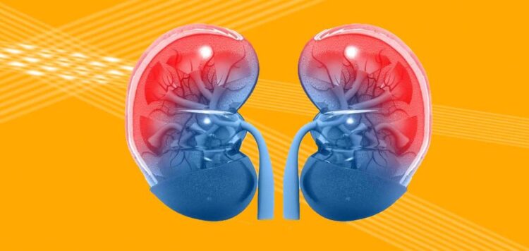 Giornata Mondiale del Rene all’Asp di Ragusa: “Implementare le conoscenze sulla prevenzione delle malattie renali”