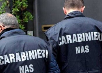 Nas di Ragusa: tutti i controlli nei primi 4 mesi dell’anno