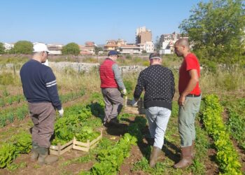 Dopo lo stop dovuto alla pandemia è ripresa l’attività dell’orto sociale nella città di Modica