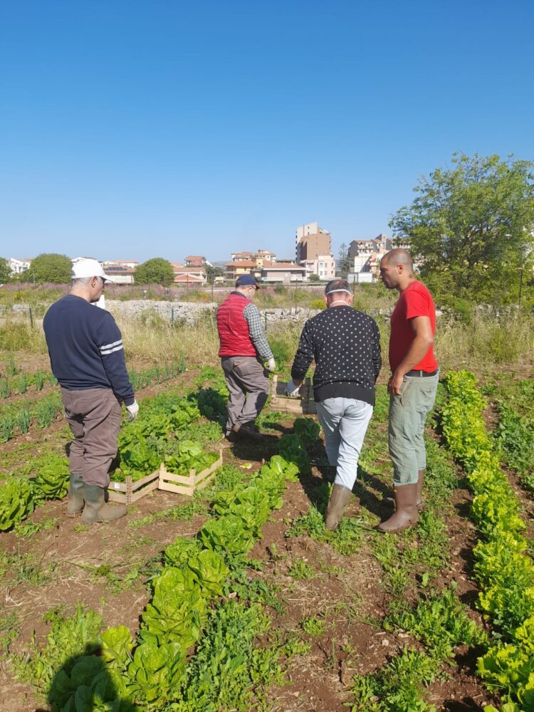 Dopo lo stop dovuto alla pandemia è ripresa l’attività dell’orto sociale nella città di Modica