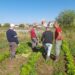 Dopo lo stop dovuto alla pandemia è ripresa l’attività dell’orto sociale nella città di Modica