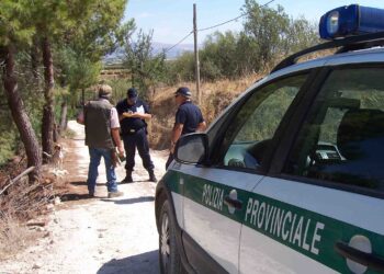 Intervento della Polizia Provinciale: denunciato un bracconiere