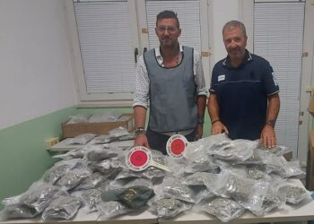 17, 74 kg di marijuana sequestrati al porto di Pozzallo