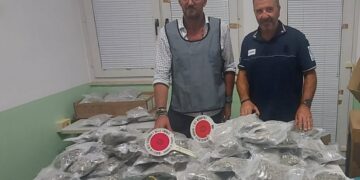 17, 74 kg di marijuana sequestrati al porto di Pozzallo