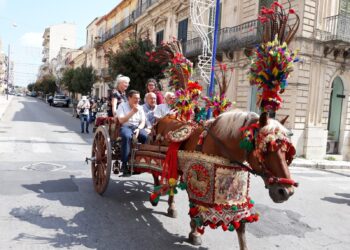 San Giovanni a Ragusa, domenica il raduno del cavallo ibleo