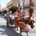 San Giovanni a Ragusa, domenica il raduno del cavallo ibleo