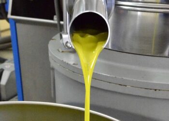 Olio Dop Monti Iblei: quest’anno meno il 20% di produzione, anche se “l’oro verde” è di straordinaria qualità