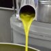Olio Dop Monti Iblei: quest’anno meno il 20% di produzione, anche se “l’oro verde” è di straordinaria qualità