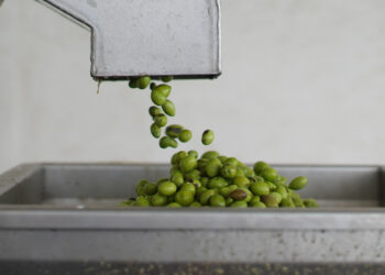 Tenuta Chiaramonte apre le porte il 18 settembre per ❝𝗥𝗜𝗠𝕆𝕃𝕀𝗔𝗠𝗢❞