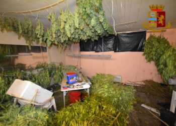 Arresto a Vittoria: marijuana in casa e detenzione di arma clandestina