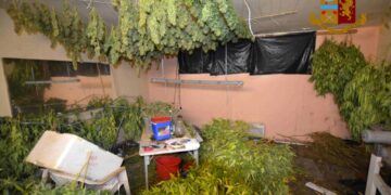 Arresto a Vittoria: marijuana in casa e detenzione di arma clandestina